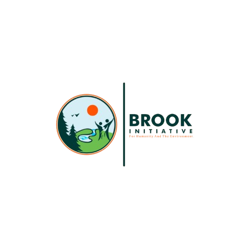 Brook Initiative Logo